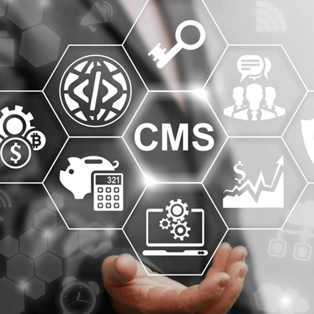 Customized CMS Development 
